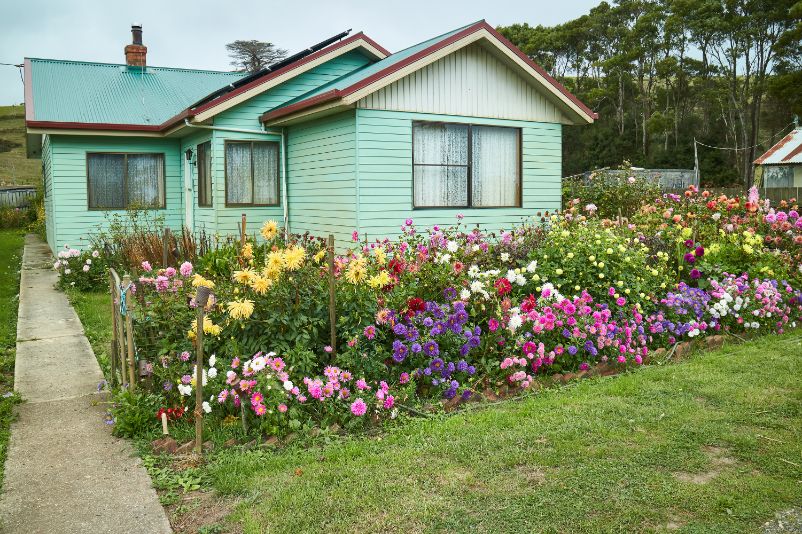 A green weatherboard house with a beautiful flower garden in the front yard.