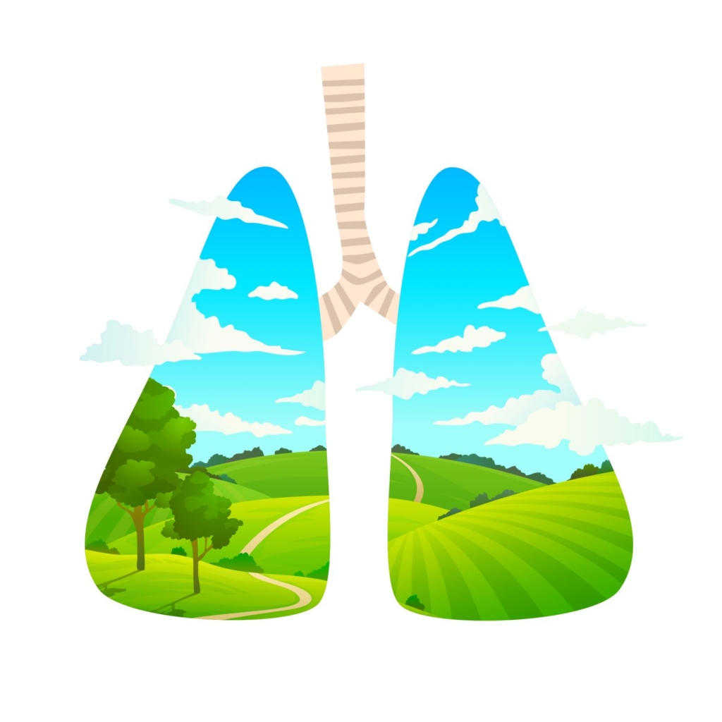 an illustration of a pair of lungs and in them is a picture of blue skys, rolling green hills, tress and clouds. Indicating healthily air and environment.