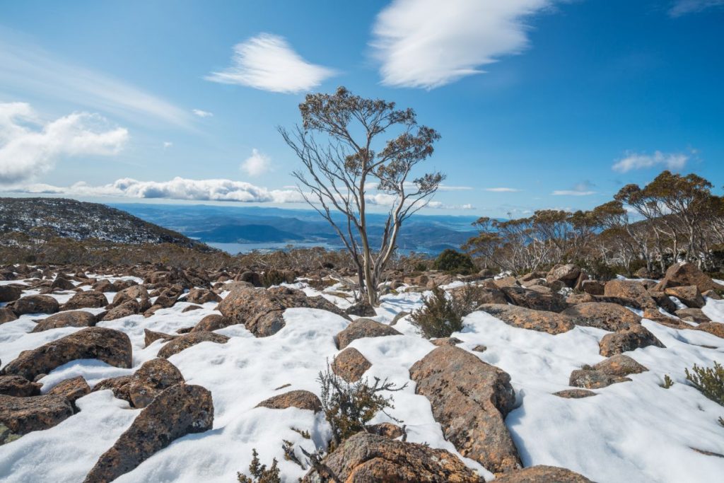 View from Mt Wellington overlooking Hobart. There is snow on the ground on the mountain. It must be winter.