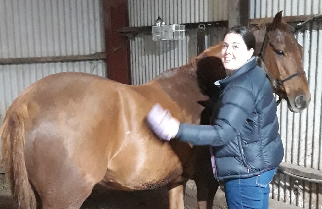 Paige, a resident at Grove House, grooming a horse.