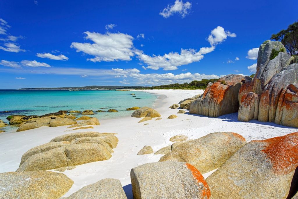 View of a beautiful Tasmanian East Coast beach with white sand and orange licheon rocks.