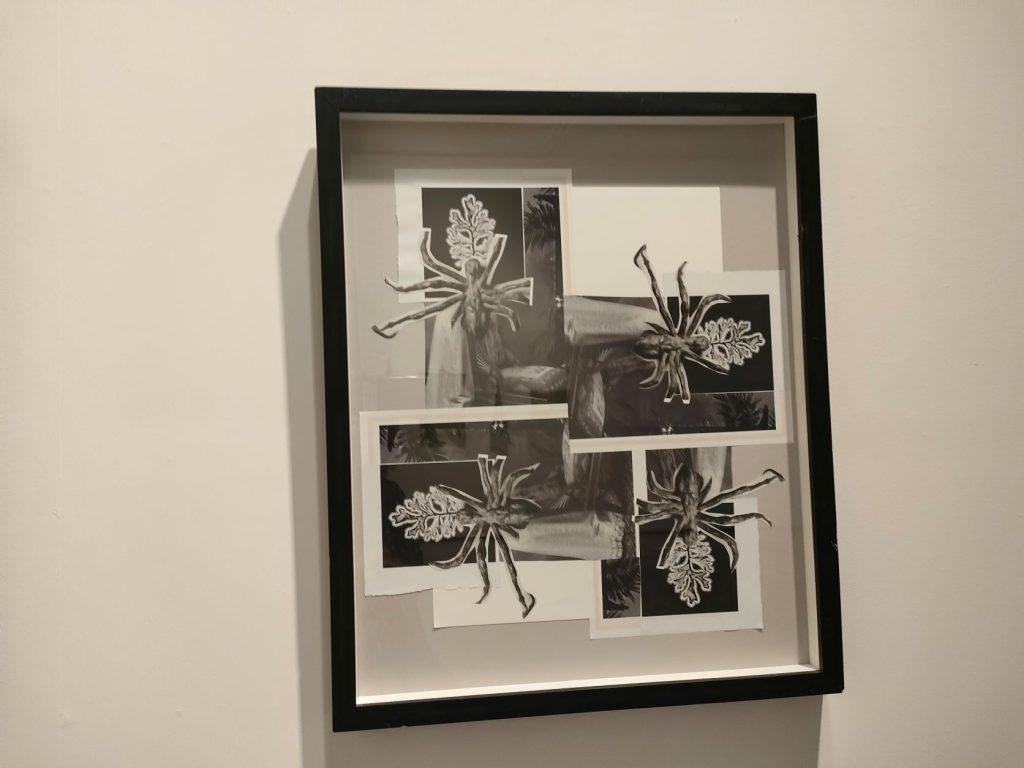 an artwork from the Precious Excess Exhibition called 'Spider' 2021 by Siobhan Marriott. It features salvaged multiple magazine pages, collage on art paper and matt board.