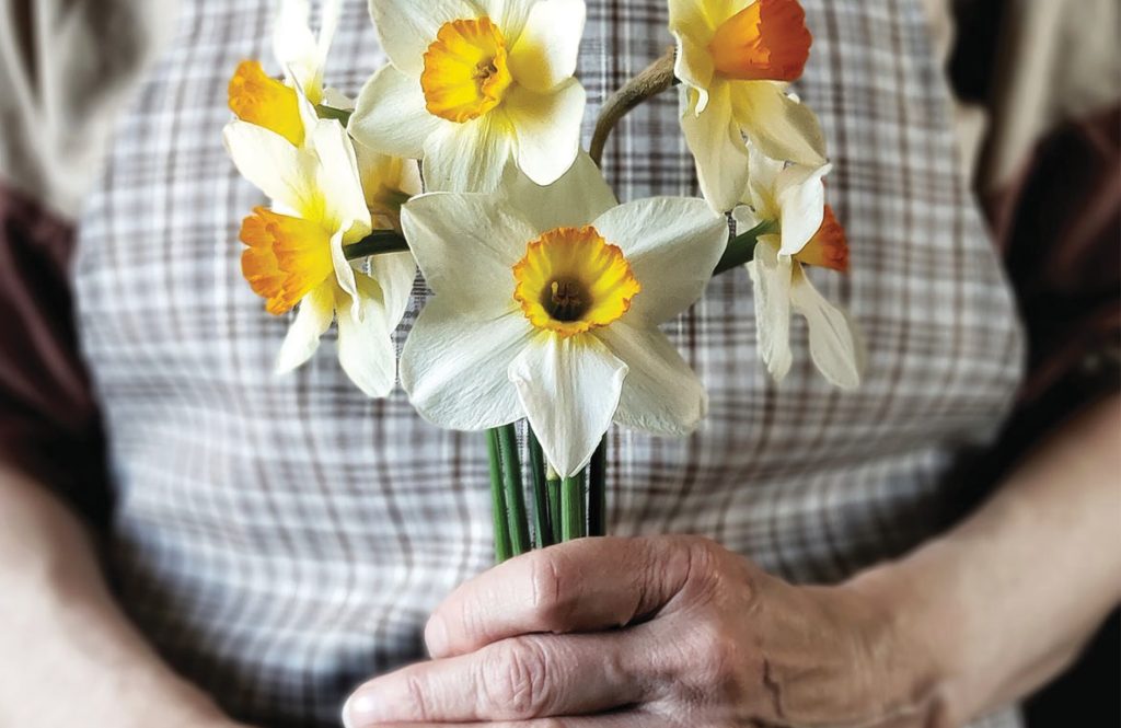 Elderly woman holding a bunch of picked daisies.
