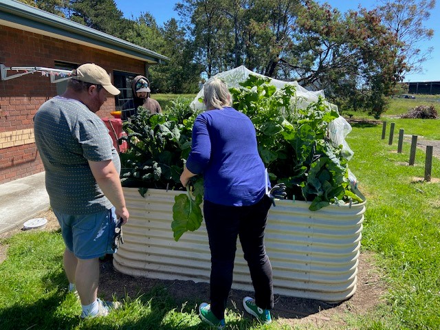 Residents standing outside working on the garden beds.