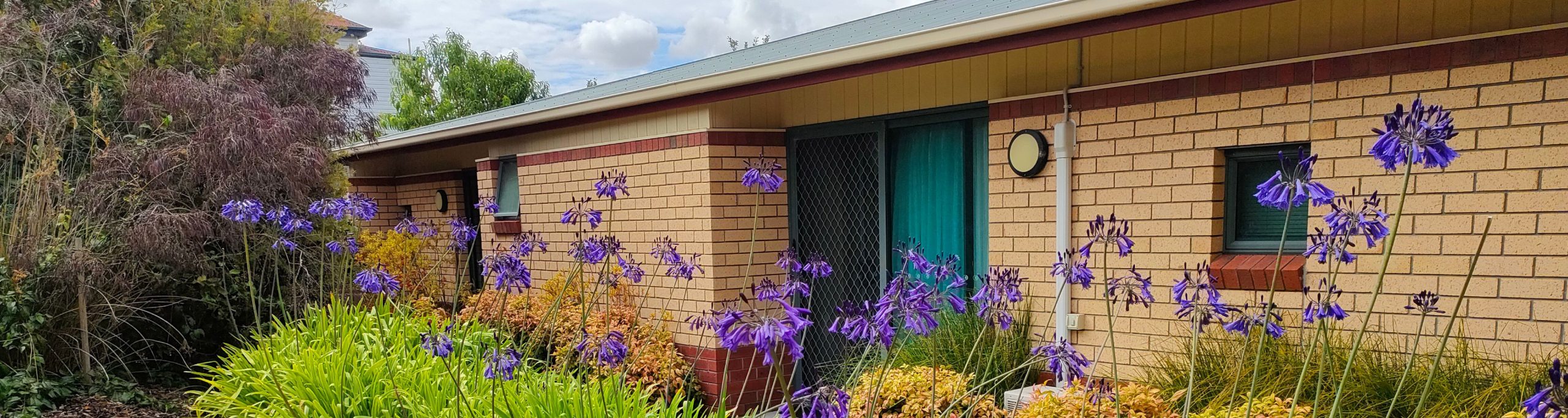 Blonde brick house, with red brick accents. A line of plants beside it with purple flowers.