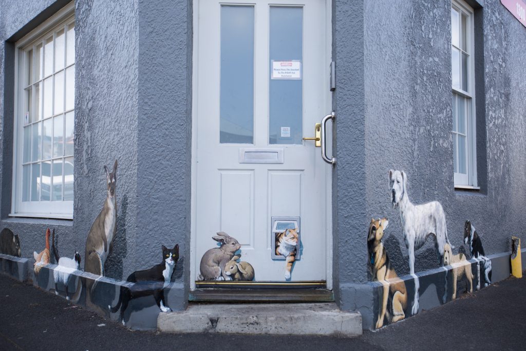 A photo of the front of a vet clinic.
